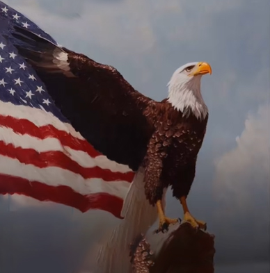American flag with eagle